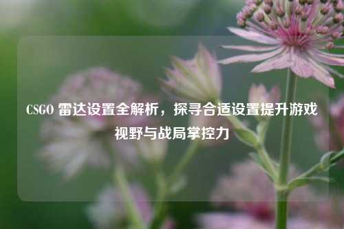 CSGO 雷达设置全解析，探寻合适设置提升游戏视野与战局掌控力