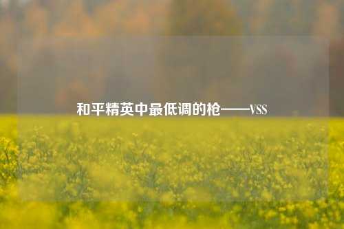 和平精英中最低调的枪——VSS