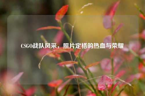 CSGO战队风采,照片定格的热血与荣耀