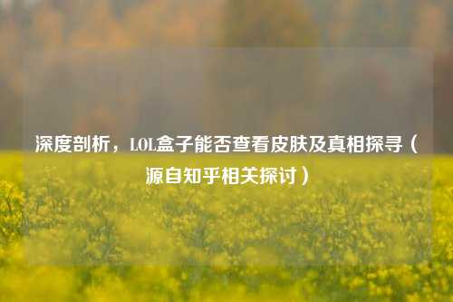 深度剖析，LOL盒子能否查看皮肤及真相探寻（源自知乎相关探讨）