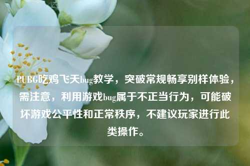PUBG吃鸡飞天bug教学，突破常规畅享别样体验，需注意，利用游戏bug属于不正当行为，可能破坏游戏公平性和正常秩序，不建议玩家进行此类操作。
