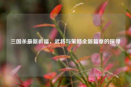 三国杀最新祈福，武将与策略全新篇章的探寻