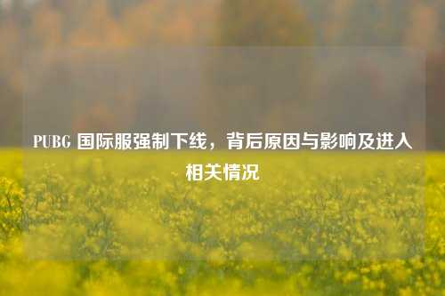 PUBG 国际服强制下线,背后原因与影响及进入相关情况