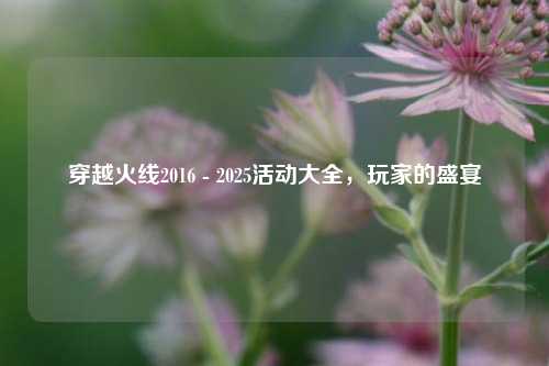 穿越火线2016 - 2025活动大全，玩家的盛宴
