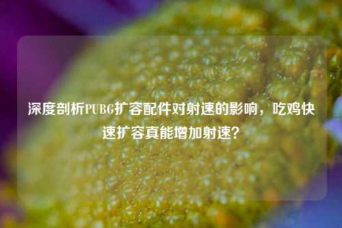 深度剖析PUBG扩容配件对射速的影响,吃鸡快速扩容真能增加射速?