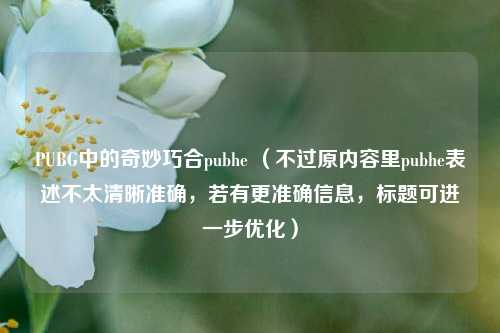 PUBG中的奇妙巧合pubhe (不过原内容里pubhe表述不太清晰准确,若有更准确信息,标题可进一步优化)