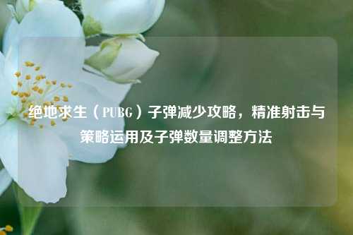 绝地求生(PUBG)子弹减少攻略,精准射击与策略运用及子弹数量调整方法