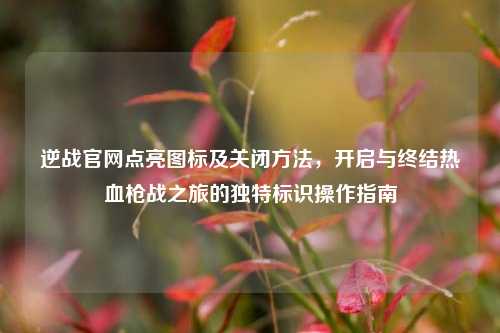 逆战官网点亮图标及关闭方法,开启与终结热血枪战之旅的独特标识操作指南
