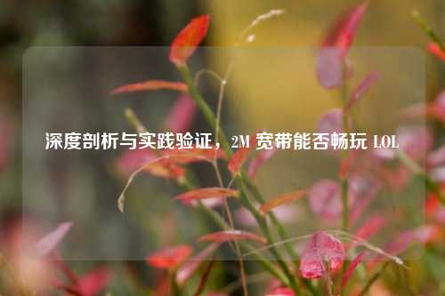 深度剖析与实践验证，2M 宽带能否畅玩 LOL