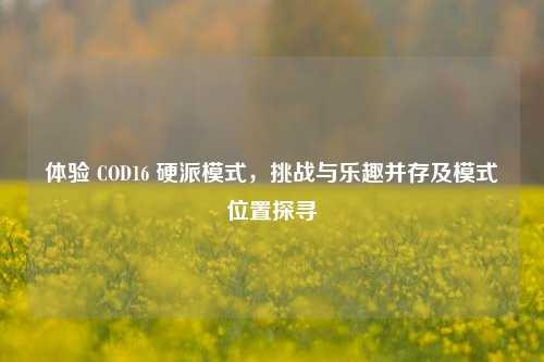 体验 COD16 硬派模式,挑战与乐趣并存及模式位置探寻
