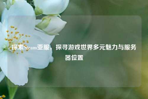 探索Steam亚服，探寻游戏世界多元魅力与服务器位置