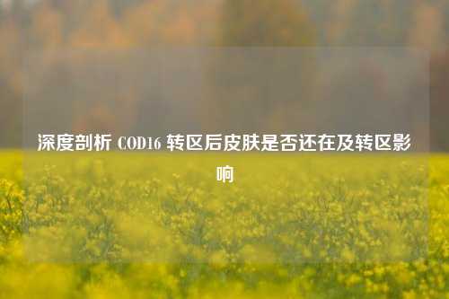 深度剖析 COD16 转区后皮肤是否还在及转区影响