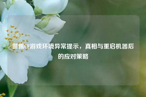 警惕CF游戏环境异常提示,真相与重启机器后的应对策略