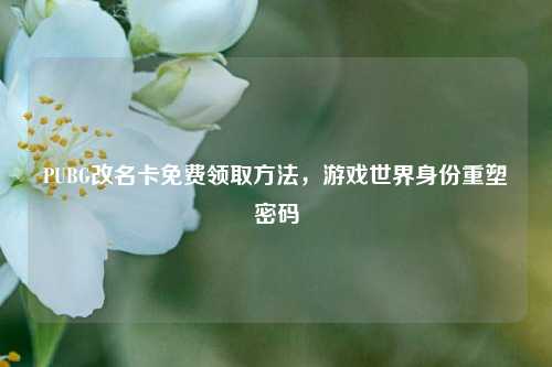 PUBG改名卡免费领取方法，游戏世界身份重塑密码