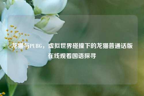 龙猫与PUBG，虚拟世界碰撞下的龙猫普通话版在线观看国语探寻