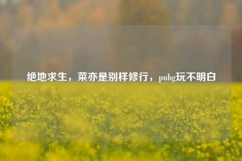绝地求生，菜亦是别样修行，pubg玩不明白