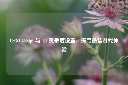 CSGO 400dpi 与 1.1 灵敏度设置，探寻最佳游戏体验