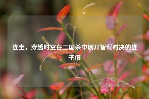 娄圭，穿越时空在三国杀中展开智谋对决的娄子伯