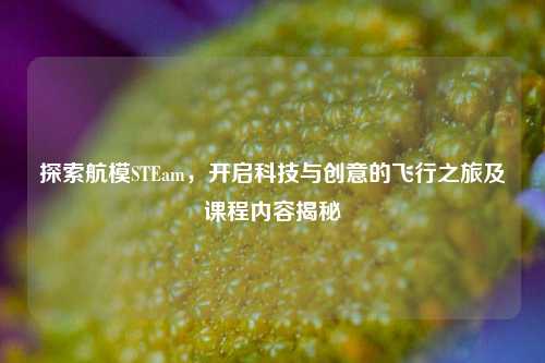 探索航模STEam,开启科技与创意的飞行之旅及课程内容揭秘