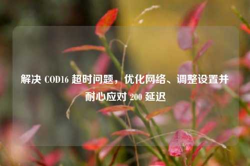 解决 COD16 超时问题，优化网络、调整设置并耐心应对 200 延迟