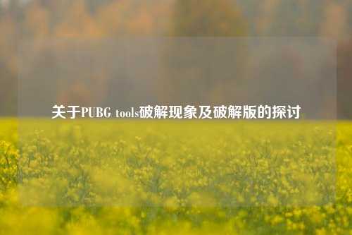 关于PUBG tools破解现象及破解版的探讨