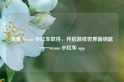 探索 Steam 小红车软件，开启游戏世界新钥匙——steam 小红车 app