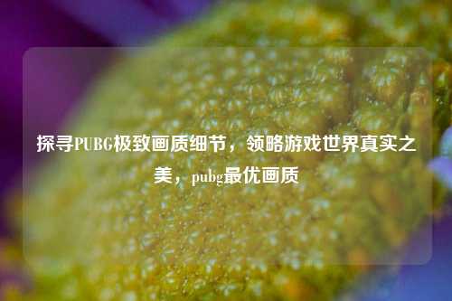 探寻PUBG极致画质细节,领略游戏世界真实之美,pubg最优画质