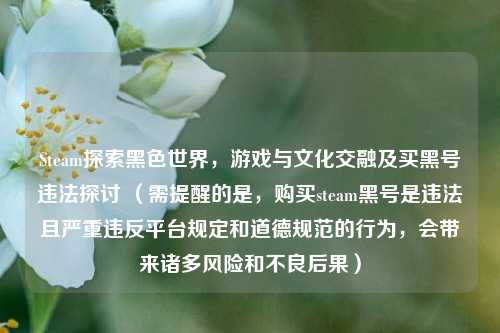 Steam探索黑色世界,游戏与文化交融及买黑号违法探讨 (需提醒的是,购买steam黑号是违法且严重违反平台规定和道德规范的行为,会带来诸多风险和不良后果)