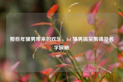 那些年骚男带来的欢乐,lol 骚男搞笑集锦及名字探秘