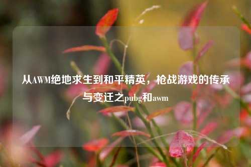 从AWM绝地求生到和平精英，枪战游戏的传承与变迁之pubg和awm