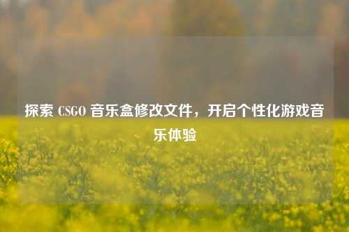 探索 CSGO 音乐盒修改文件,开启个性化游戏音乐体验