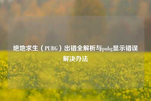 绝地求生（PUBG）出错全解析与pubg显示错误解决办法