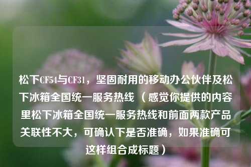 松下CF54与CF31,坚固耐用的移动办公伙伴及松下冰箱全国统一服务热线 (感觉你提供的内容里松下冰箱全国统一服务热线和前面两款产品关联性不大,可确认下是否准确,如果准确可这样组合成标题)