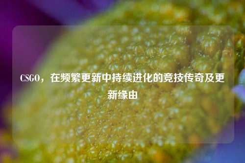CSGO，在频繁更新中持续进化的竞技传奇及更新缘由