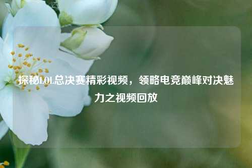 探秘LOL总决赛精彩视频,领略电竞巅峰对决魅力之视频回放