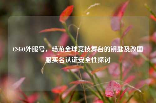 CSGO外服号,畅游全球竞技舞台的钥匙及改国服实名认证安全性探讨