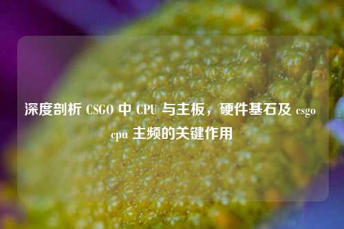 深度剖析 CSGO 中 CPU 与主板,硬件基石及 csgo cpu 主频的关键作用