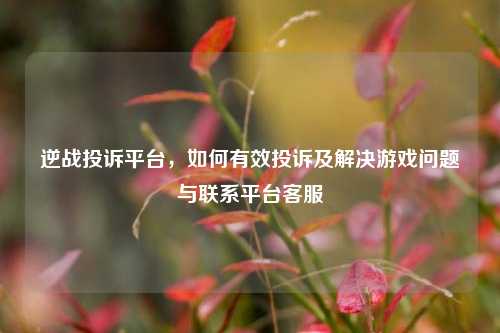 逆战投诉平台,如何有效投诉及解决游戏问题与联系平台客服
