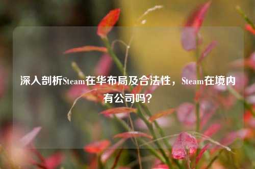 深入剖析Steam在华布局及合法性,Steam在境内有公司吗?