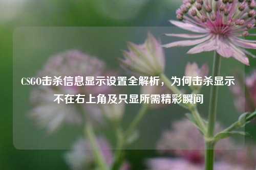 CSGO击杀信息显示设置全解析，为何击杀显示不在右上角及只显所需精彩瞬间