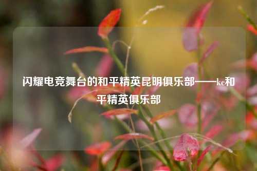 闪耀电竞舞台的和平精英昆明俱乐部——kc和平精英俱乐部