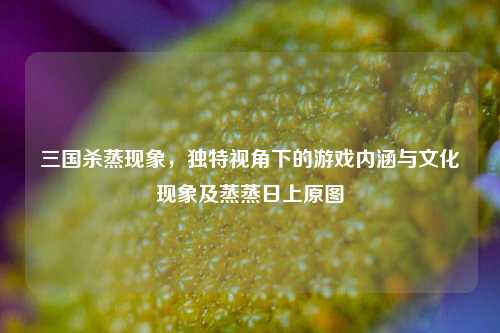 三国杀蒸现象，独特视角下的游戏内涵与文化现象及蒸蒸日上原图