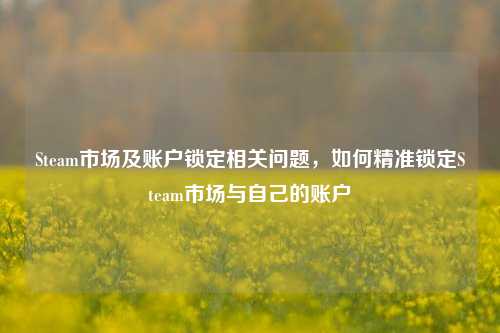 Steam市场及账户锁定相关问题,如何精准锁定Steam市场与自己的账户