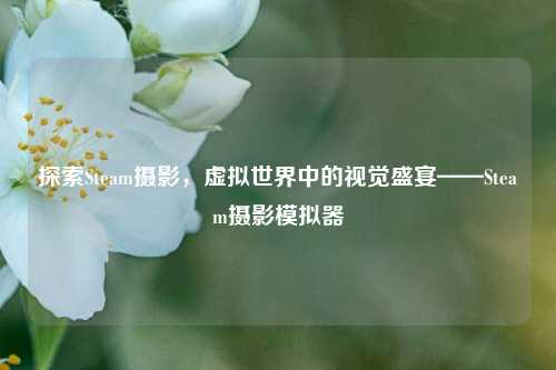 探索Steam摄影,虚拟世界中的视觉盛宴——Steam摄影模拟器