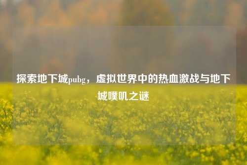 探索地下城pubg，虚拟世界中的热血激战与地下城噗叽之谜