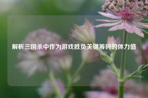解析三国杀中作为游戏胜负关键筹码的体力值