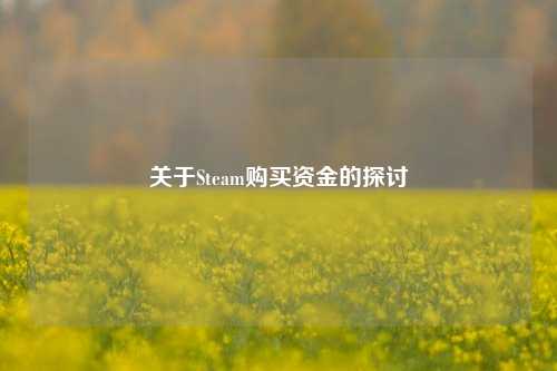关于Steam购买资金的探讨
