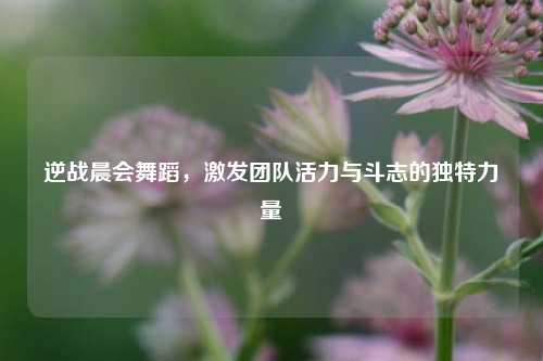 逆战晨会舞蹈,激发团队活力与斗志的独特力量