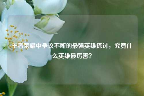 王者荣耀中争议不断的最强英雄探讨,究竟什么英雄最厉害?