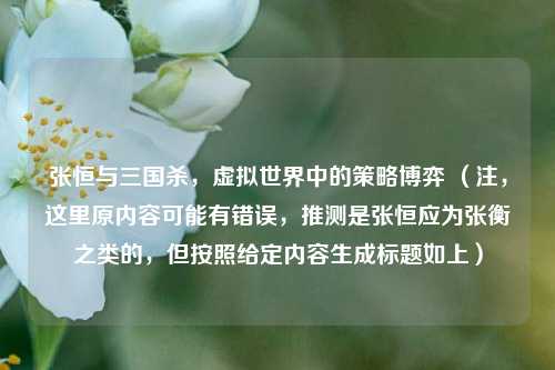 张恒与三国杀，虚拟世界中的策略博弈 （注，这里原内容可能有错误，推测是张恒应为张衡之类的，但按照给定内容生成标题如上）